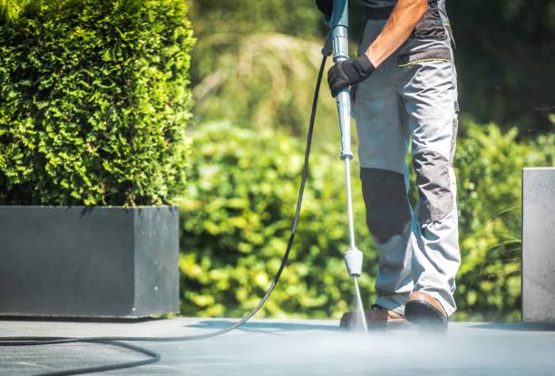 Animal Enclosure Cleaning in Port Richey, FL