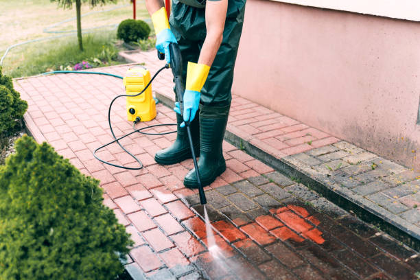 Best Fence Cleaning  in Port Richey, FL